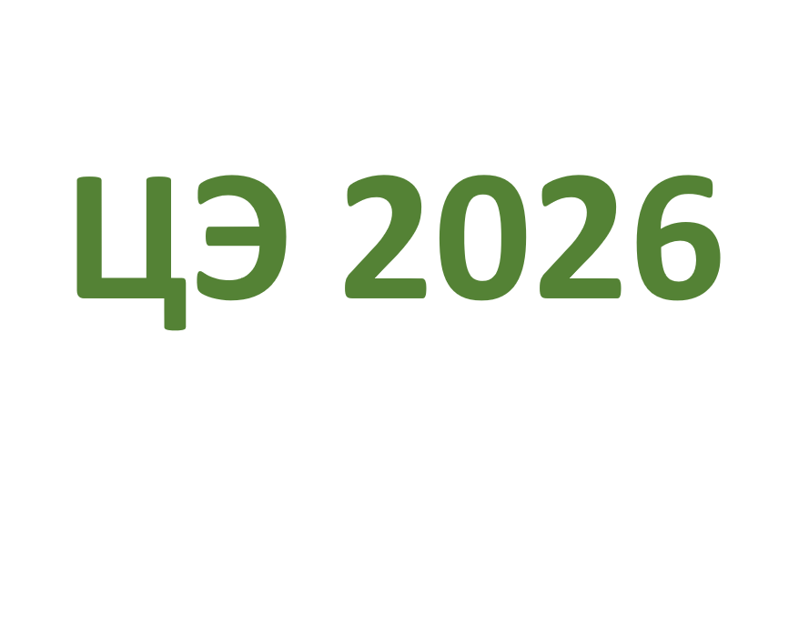 Подготовка к ЦЭ, ЦТ, поступлению в лицей по математике и физике 2026
